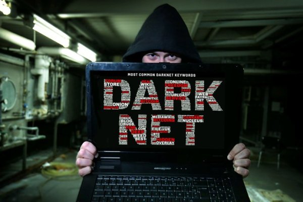 Kraken найдется все