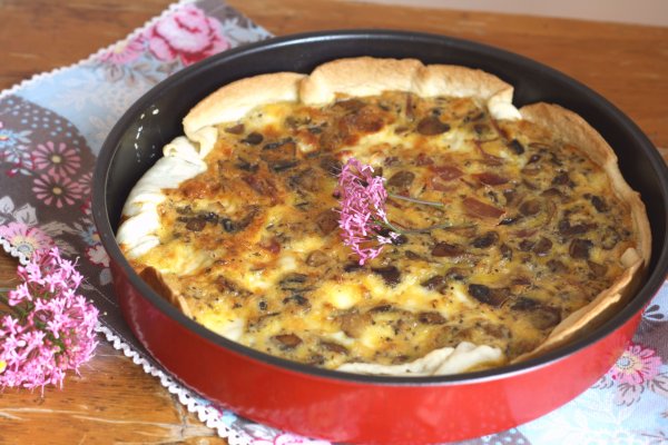 Ссылки тор браузер