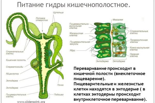 Сайт кракен через тор