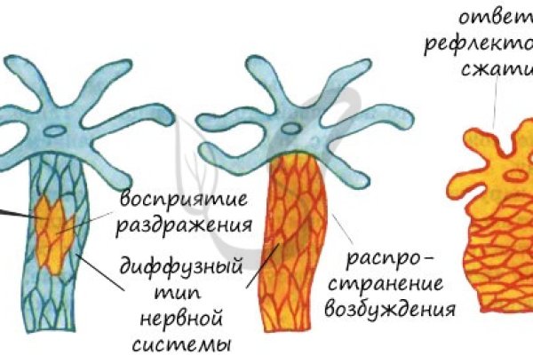 Kra13gl